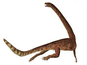 Plesiosaur: Tanystropheus dinosaur, rear view of tail