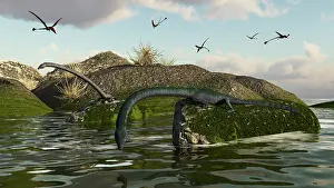 Boulder: Tanystropheus fishes from the rocks