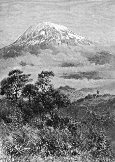 Kilimanjaro: TANZANIA/KILIMANJARO