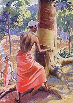 Taps: Tapping a Rubber Tree
