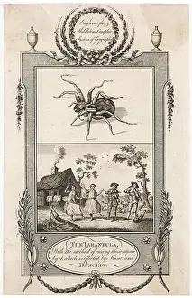 Stung: TARANTELLA (18TH CENT.)