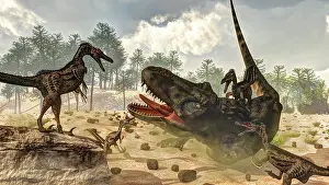 Velociraptor: Tarbosaurus attacked by a group of Velociraptor dinosaurs