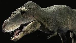 Maastrichtian: Tarbosaurus dinosaur