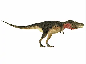 Tarbosaurus: Tarbosaurus dinosaur, side view