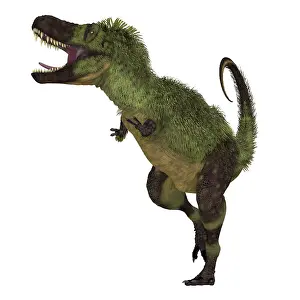 Tarbosaurus: Tarbosaurus dinosaur, front view on white background