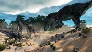 Prowling: Tarbosaurus surprising a herd of Saurolophus dinosaurs