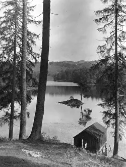 Hows: Tarn Hows, Lake District, Cumbria