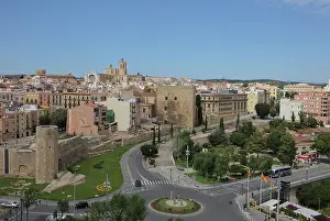 Dorada: Tarragona, Catalonia, Spain