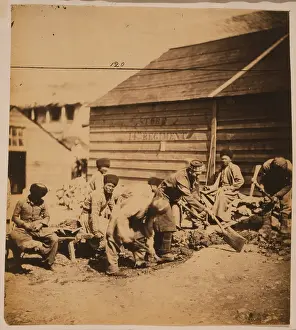 Tartar: Tartar labourers
