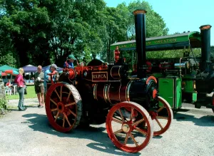 Prevention: Tasker Tractor number: 1296, The Horse's Friend