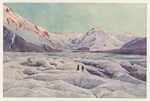 Tasman: TASMAN GLACIER