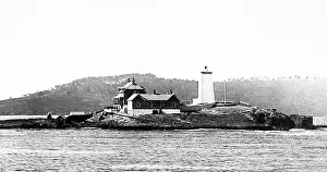 Dolphins: Tasmania Derwent Lighthouse pre-1900