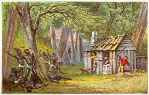 Ethnology: Tasmanian aborigines attacking a settler's hut