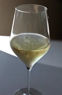 Espace: Tasting, Espace Nicolas Feuillatte, Chouilly, Marne, France