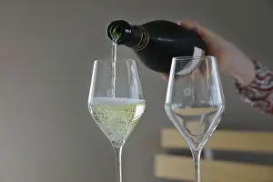 Winemaking: Tasting, Espace Nicolas Feuillatte, Chouilly, Marne, France
