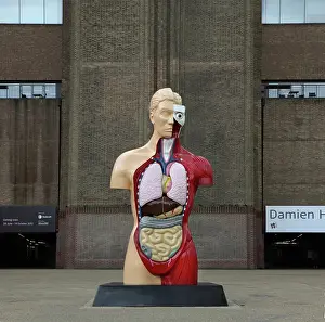 Hirst: Tate Modern Gallery with promotional adverts about