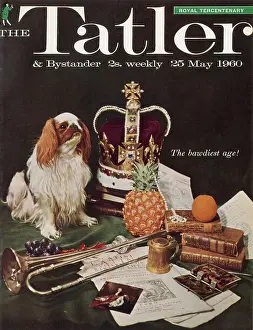 Spaniels: Tatler Front Cover - Royal Tercentenary spaniel