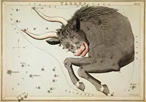 Pleiades: Taurus