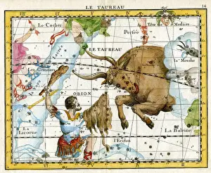 Flamsteed: Taurus - Bull