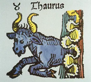 Angelus: Taurus the Bull