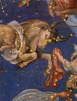 Zodiacal: Taurus the Bull