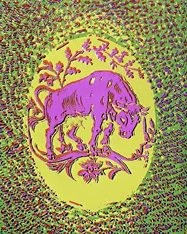 Brightest: Taurus the Bull Second Sign of the Zodiac