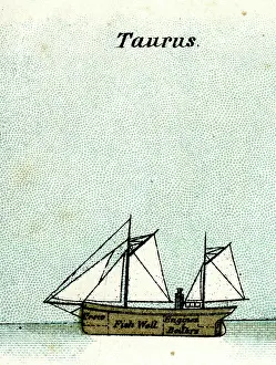 Boilers: Taurus, fishing boat