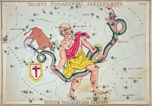 Poniatowski: Taurus Poniatowski, Serpentarius, Scutum Sobiesky, and Serpe