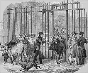 Taxed: TAXES : PARIS BARRIERS