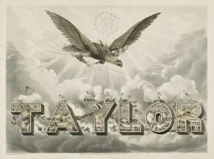 Spelled: Taylor