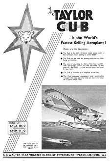 Taylorcraft: Taylor Cub