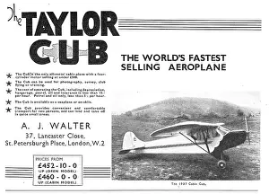 Taylorcraft: Taylor Cub