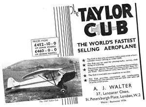 Taylorcraft: Taylor Cub