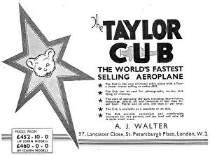 Taylorcraft: Taylor Cub