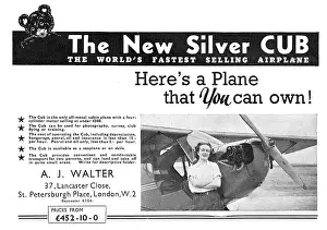 Taylorcraft: Taylor Silver Cub