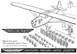 Taylorcraft: Taylorcraft