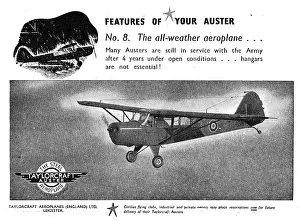 Taylorcraft: Taylorcraft Auster