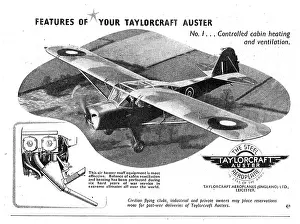 Taylorcraft: Taylorcraft Auster