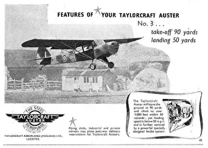 Taylorcraft: Taylorcraft Auster