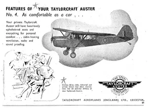 Taylorcraft: Taylorcraft Auster