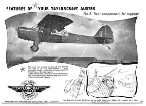Taylorcraft: Taylorcraft Auster