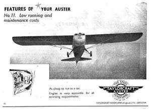 Taylorcraft: Taylorcraft Auster