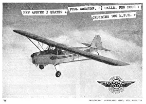Taylorcraft: Taylorcraft Auster