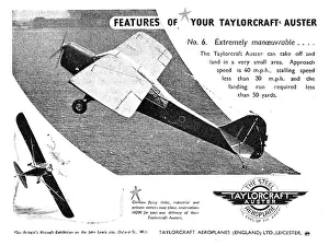 Taylorcraft: Taylorcraft Auster