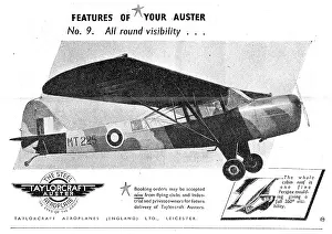 Taylorcraft: Taylorcraft Auster