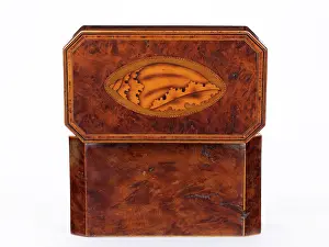 Conch: Tea caddy