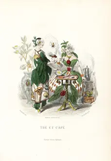 Tea and coffee flower fairies sharing beverages