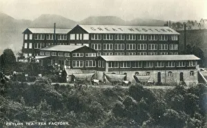 Ceyon: Tea Factory - Sri Lanka