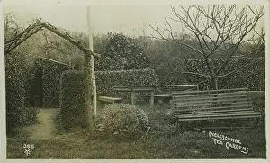 Southdown: Tea Gardens