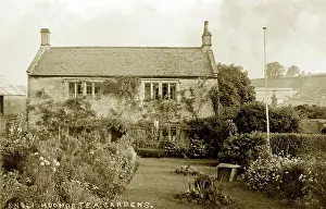Southdown: Tea Gardens
